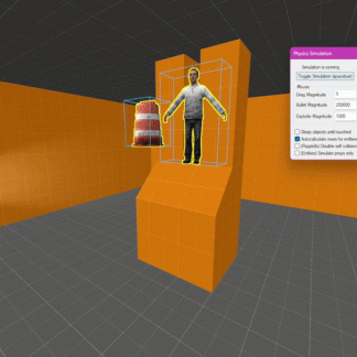 Physics Simulation